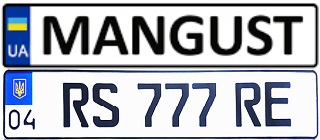 Сувенірний та іменний номерний знак на авто